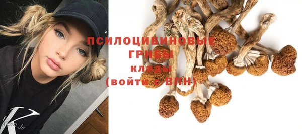 меф Нязепетровск