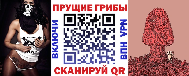 Псилоцибиновые грибы Psilocybine cubensis  закладка  Кстово 