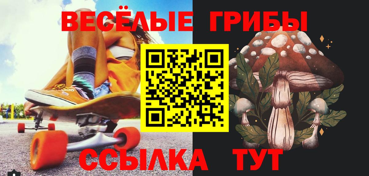 Галлюциногенные грибы Psilocybine cubensis Кстово