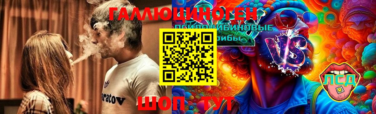 Кстово  Псилоцибиновые грибы Psilocybine cubensis  Вход с VPN 