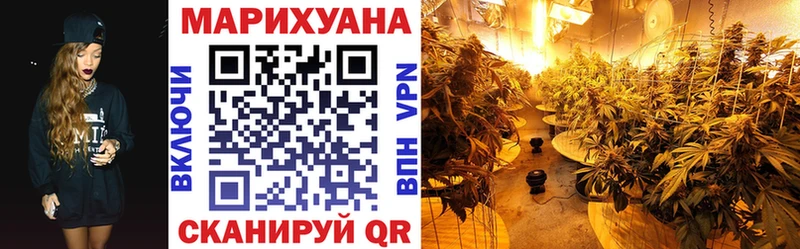 Марихуана сатива  Кстово 